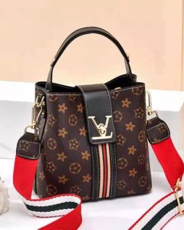 Ladies Stylish bag